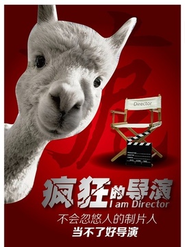 疯狂的导演剧情介绍_宅剧情