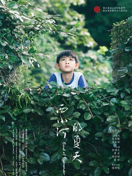 西小河的夏天剧情介绍_宅剧情