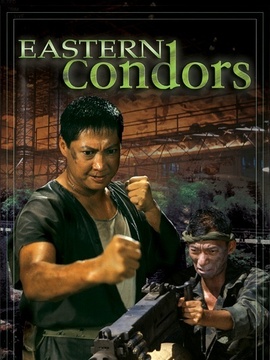 东方秃鹰剧情介绍_宅剧情