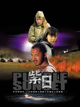 紫日剧情介绍_宅剧情