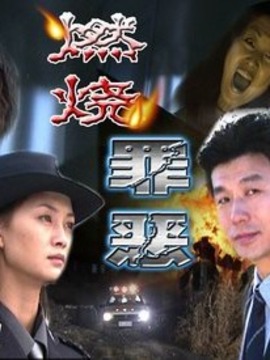 燃烧罪恶剧情介绍_宅剧情