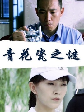 青花瓷之谜剧情介绍_宅剧情