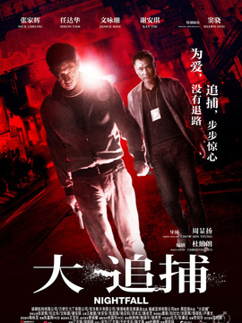 大追捕剧情介绍_宅剧情