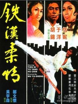 铁汉柔情剧情介绍_宅剧情