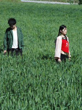 麦田里的芭蕾剧情介绍_宅剧情