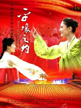 平壤之约剧情介绍_宅剧情