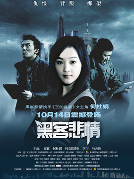 黑客悲情剧情介绍_宅剧情