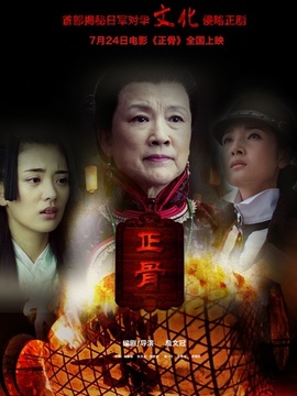 正骨剧情介绍_宅剧情