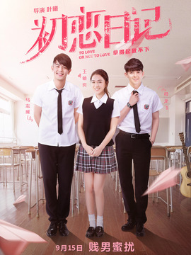 初恋日记剧情介绍_宅剧情