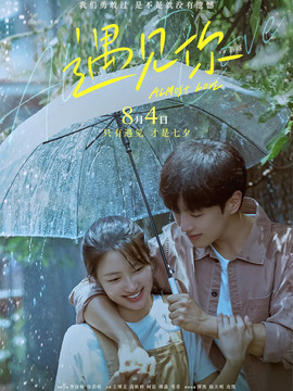 遇见你剧情介绍_宅剧情