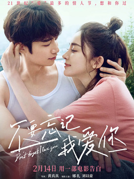 不要忘记我爱你剧情介绍_宅剧情