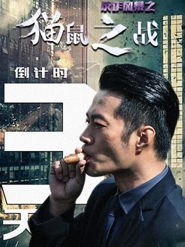 反诈风暴之猫鼠之战剧情介绍_宅剧情