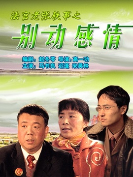 法官老张轶事之别动感情剧情介绍_宅剧情