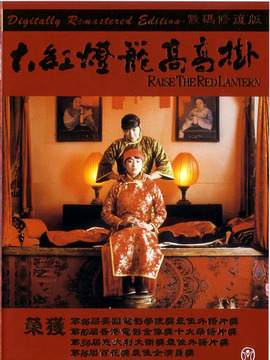 大红灯笼高高挂剧情介绍_宅剧情