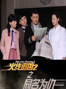 火线追凶2之同名为仇剧情介绍_宅剧情