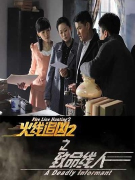 火线追凶之致命线人剧情介绍_宅剧情