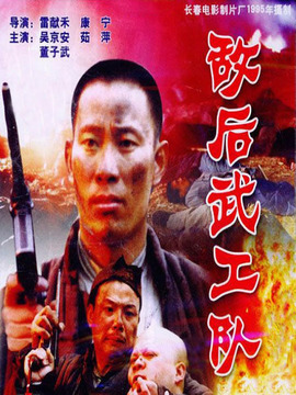 敌后武工队剧情介绍_宅剧情