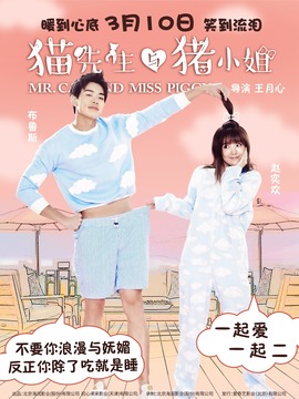 猫先生与猪小姐剧情介绍_宅剧情