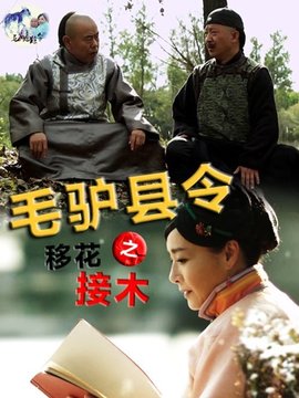 毛驴县令之移花接木剧情介绍_宅剧情