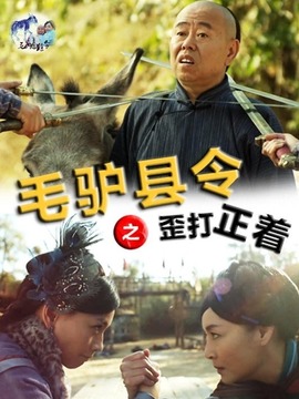 毛驴县令之歪打正着剧情介绍_宅剧情