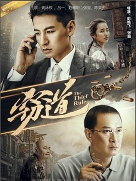 窃道剧情介绍_宅剧情