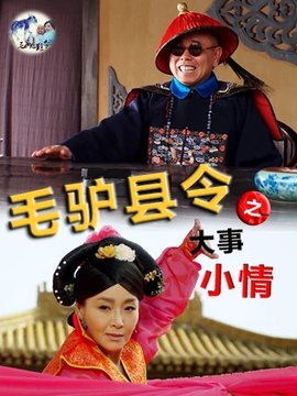 毛驴县令之大事小情剧情介绍_宅剧情