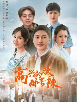 高兴的酸甜苦辣剧情介绍_宅剧情