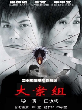 大案组剧情介绍_宅剧情