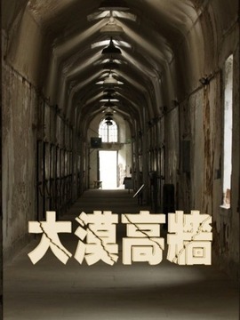 大漠高墙剧情介绍_宅剧情