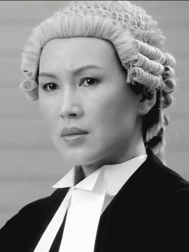 法网群英剧情介绍_宅剧情