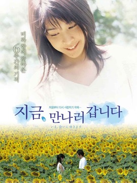 现在,很想见你剧情介绍_宅剧情