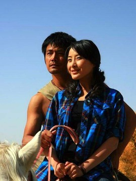 青树剧情介绍_宅剧情