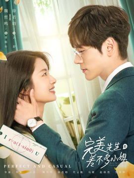完美先生和差不多小姐剧情介绍_宅剧情