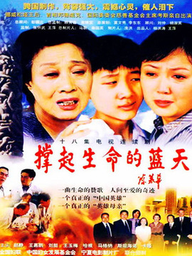 撑起生命的蓝天剧情介绍_宅剧情