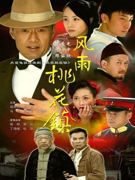 风雨桃花镇剧情介绍_宅剧情