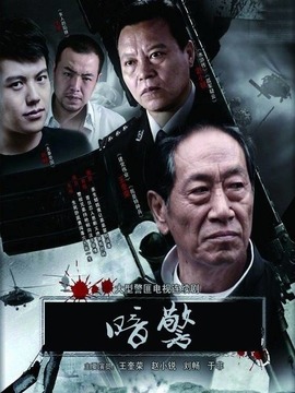 暗警剧情介绍_宅剧情