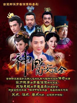 神医安道全剧情介绍_宅剧情