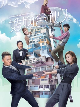 婚姻合伙人剧情介绍_宅剧情