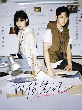 刑侦笔记剧情介绍_宅剧情