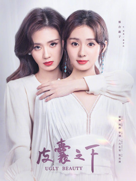 皮囊之下剧情介绍_宅剧情