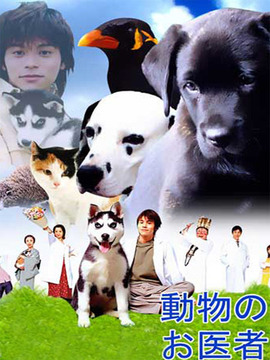 迷糊动物医生剧情介绍_宅剧情